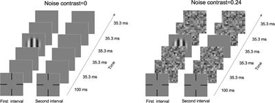 Acute Alcohol Intake Affects Internal Additive Noise and the Perceptual Template in Visual Perception